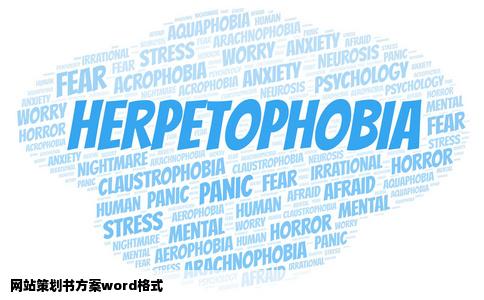 网站策划书方案word格式