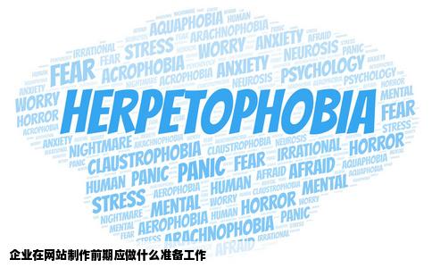 企业在网站制作前期应做什么准备工作