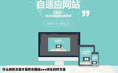 什么样的文章才是符合网站seo优化的好文章