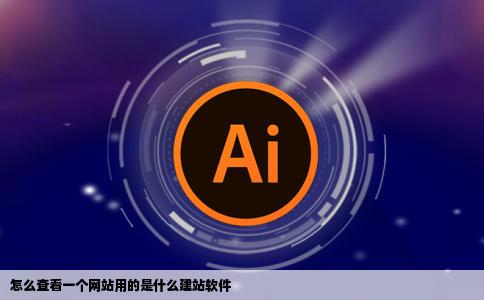怎么查看一个网站用的是什么建站软件
