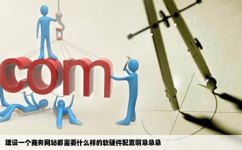 建设一个商务网站都需要什么样的软硬件配置啊急急急