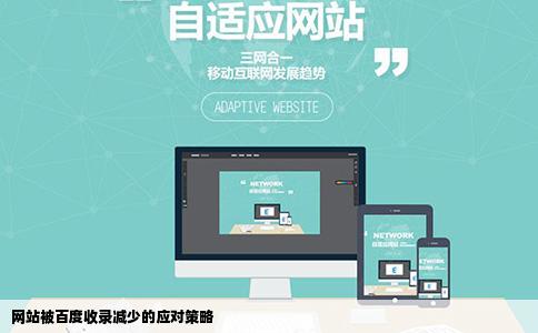 怎么解决有一段时间没有管网站结果现在百度收录都没了怎么办额
