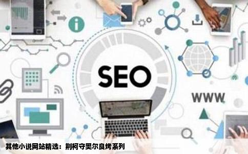 跪求起点以外的其他小说网站的优质小说个人口味荆柯守奥尔良烤