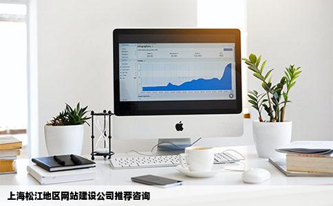 谁向我介绍几个上海松江地区网站建设的公司向咨询但是找不到