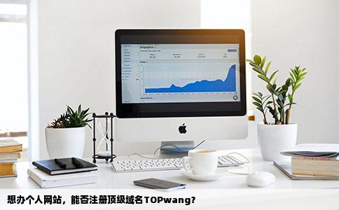 想办个人网站请问可以注册类似TOPwang这样的顶级域名吗
