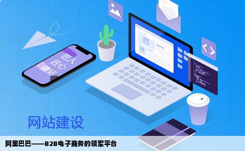 谁能告诉我阿里巴巴是什么类型的网站