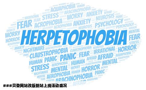 贝登网站最近改版了新站上线贝登有什么活动么