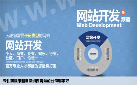 专住药提印新目深圳做网站的公司哪家好