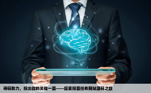 找一个打码投票任务网站源码