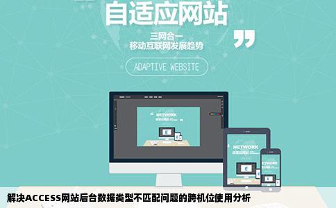 ACCESS网站后台显示类型不匹配但是到了另一台电脑上就可以用