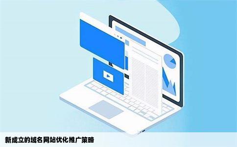 新成立的域名网站如何对其进行优化推广