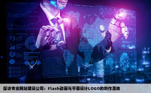 哪里有网站建设公司制作flash跟平面设计LOGO的或者工作室都