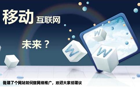 我建了个网站如何做网络推广欢迎大家给建议