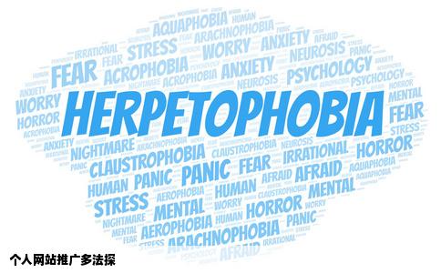 个人网站都有什么推广方式