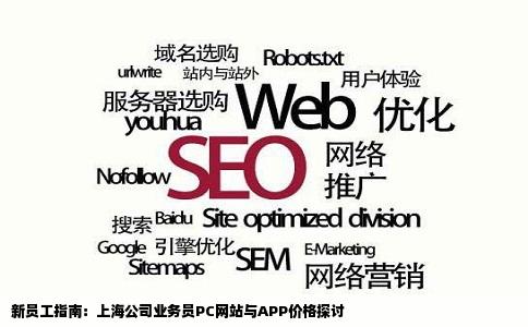公司的业务员主要做pc网站和app初来乍到不知道价格求指导上海
