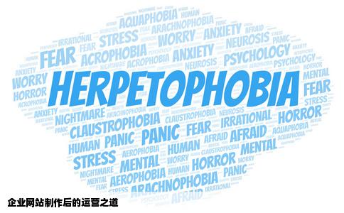 企业网站制作好以后如何运营下去