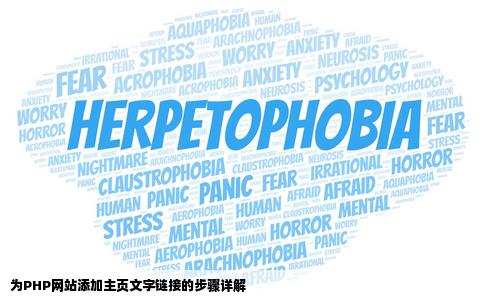 请问一个php网站我现在想在主页上添加文字连接怎么添加网站不是我