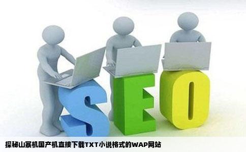 求山寨机国产机可以直接下载TXT小说格式的WAP网站