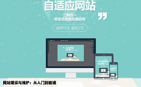 求几本关于网站建设和维护的书籍有教程更好谢谢