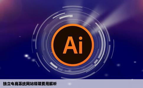 独立电商系统网站搭建报价多少钱数商云电商专