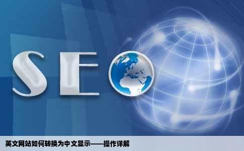 英文网站怎么转换成中文显示请求帮助