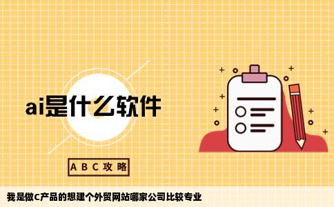 我是做C产品的想建个外贸网站哪家公司比较专业