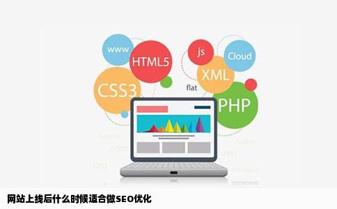 网站上线后什么时候适合做seo优化