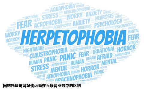 网站托管和网站代货宗农皮酸谓运营有什么区别