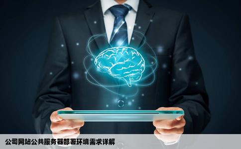公司的网站要发布在公共服务器上请问需要服务器提供怎样的环境