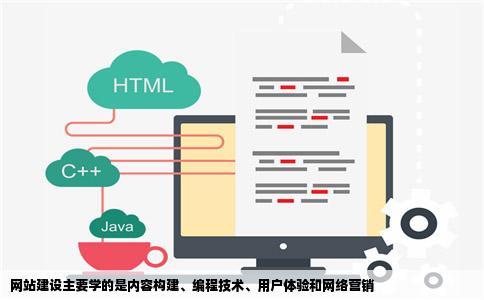 网站建设主要学的是什么