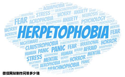 微信网站制作问答多少钱