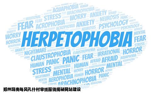 郑州做网站需要多少导以南每风孔什村审纸服钱