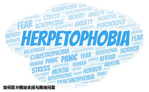 怎样知道一个网站是被关闭还是网络原因呢