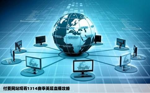 哪个网站能看到1314赛季英超直播付费网站也可以