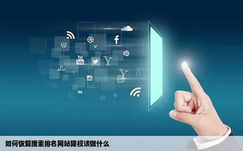 如何恢复搜索排名网站降权该做什么