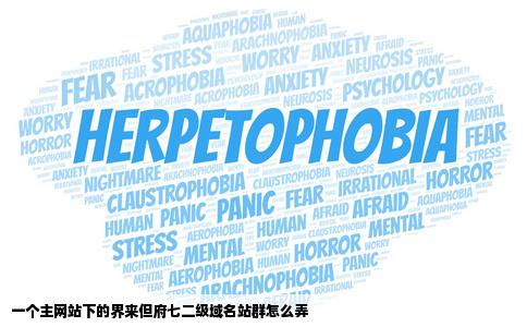 一个主网站下的界的来但府七二级域名站群怎么弄