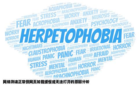 网络测速显示正常但打开网站就是慢甚至打不开怎么回事