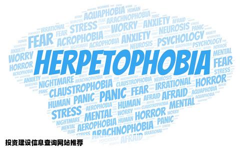 查阅一些火车游轮酒店等投资建设信息的网站有哪些