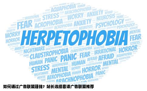 我是一个人网站站长想通过广告联盟赚钱大家帮我推荐一下比较靠谱