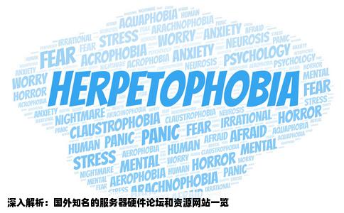 国外有哪些知名的服务器硬件论坛和资源网站大神们帮帮忙