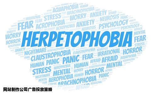 网站制作公司应该到哪里投放广告