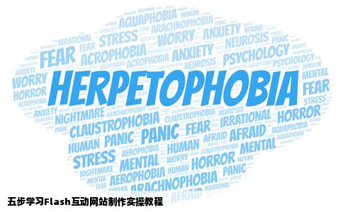 如何学习Flash互动网站制作555真心求帮助