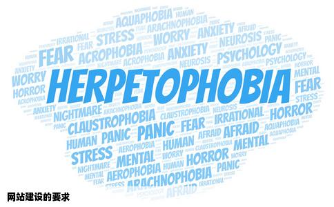 网站建设有什么要求