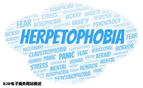 B2B类电子商务网站都有哪些