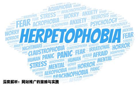 请问大家我怎样才能把它推广出去让大家认可我的网站怎么推广