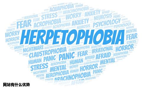 网站有什么优势