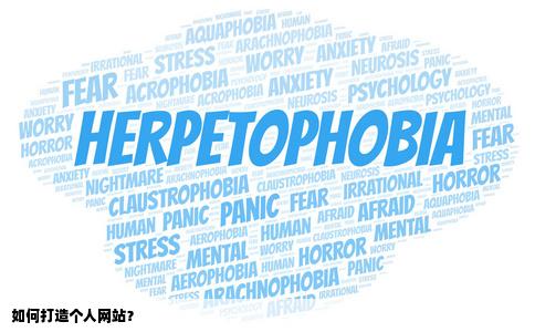 我想建一个个人网站我要怎么做