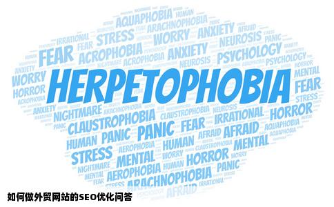 如何做外贸网站的SEO优化问答