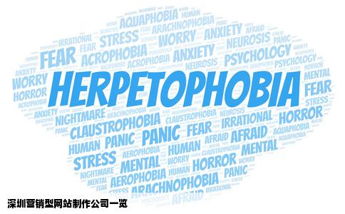 深圳营销型网站制作的公司有哪些好心人给个名单吧