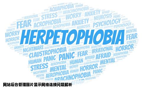 网站后台管理为何添加图片显示网络连接毛病